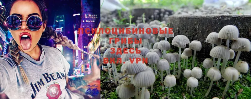 Галлюциногенные грибы MAGIC MUSHROOMS  Углегорск 